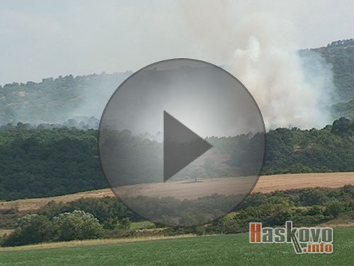 Европейски пари за горите