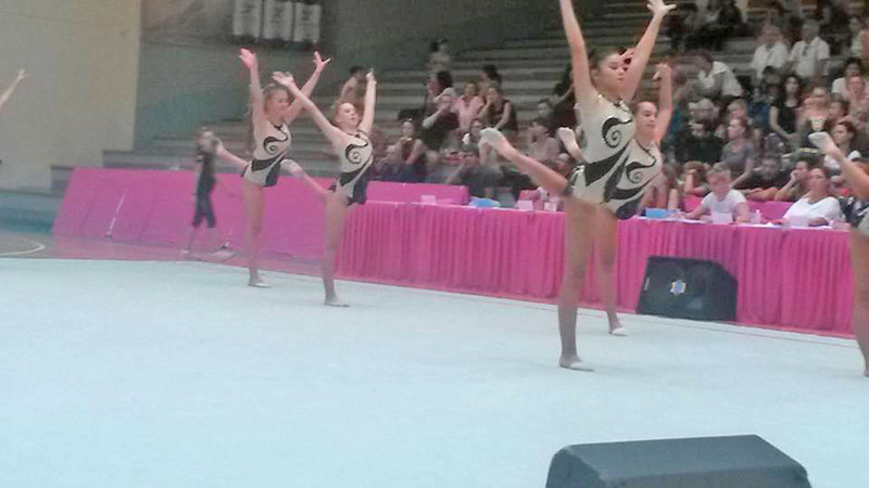 Гимнастички