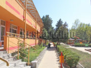 Детска гранина