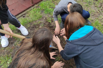 Капсула на времето