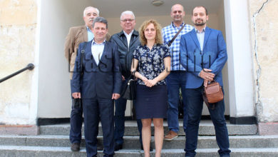 Демократична България