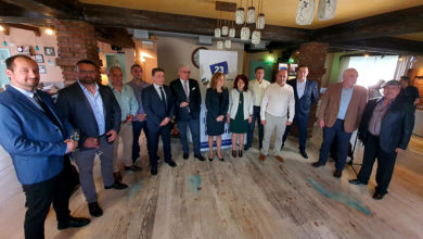 Демократична България