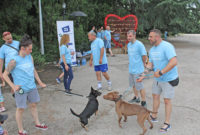 Демократична България