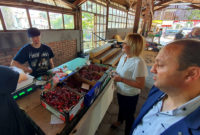 Изправи се! Мутри вън!