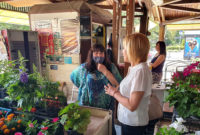 Изправи се! Мутри вън!