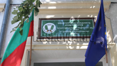 Горско стопанство