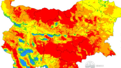 Пожароопасност