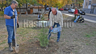 Инспекция по труда