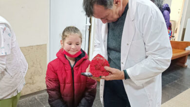 Детска градина