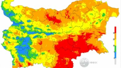 Пожароопасност