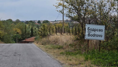 Бодрово