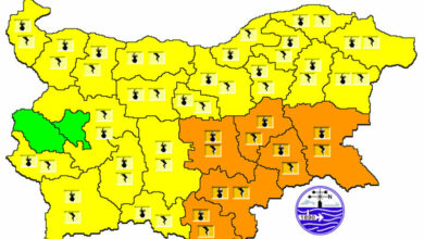 Оранжев код