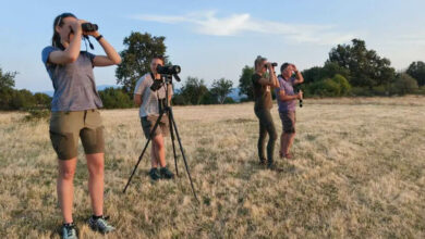 Доброволци