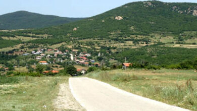 Ангел войвода