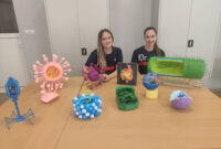 Езикова гимназия