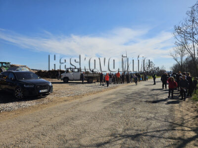 Залесяване