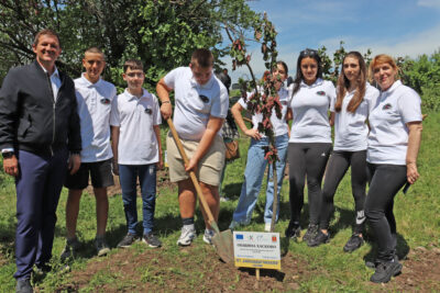 Залесяване