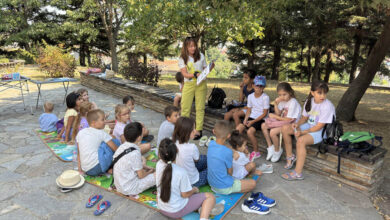 Библиотека