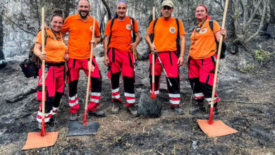 Доброволци