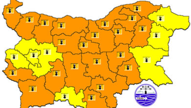 Оранжев код