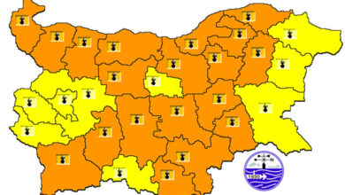 Оранжев код