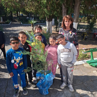 Залесяване