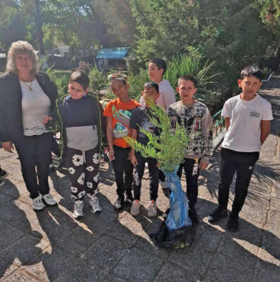 Залесяване