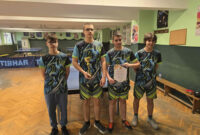 Тенис на маса