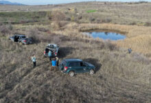 Залесяване