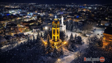 Фотография