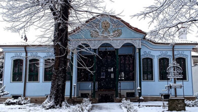 Кирково училище