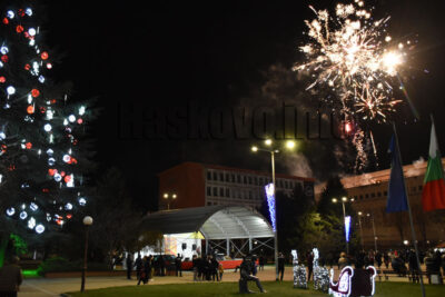 Нова година