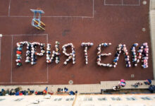 Розова фланелка