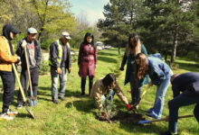 Южна пролет