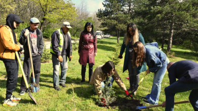 Южна пролет