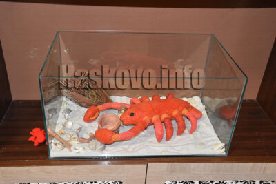 Състезание