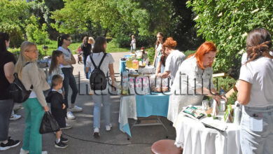 Фестивал