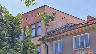 Дърво