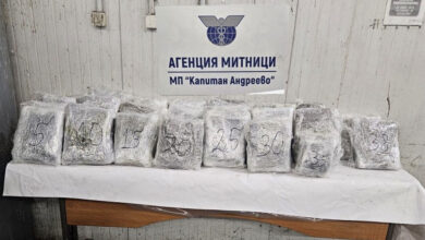 Канабис