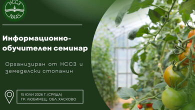 Семинар