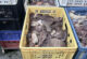 Откриха свинско месо с изтекъл срок на годност в Хасково