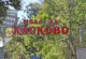 Обявиха нов конкурс за изпълнителен директор на МБАЛ – Хасково